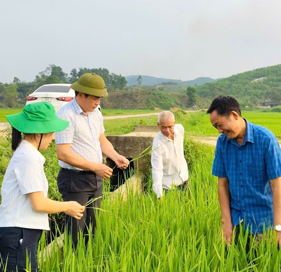 Chủ tịch UBND xã Sơn Giang kiểm tra, chỉ đạo phòng trừ dịch hại trên lúa vụ Xuân