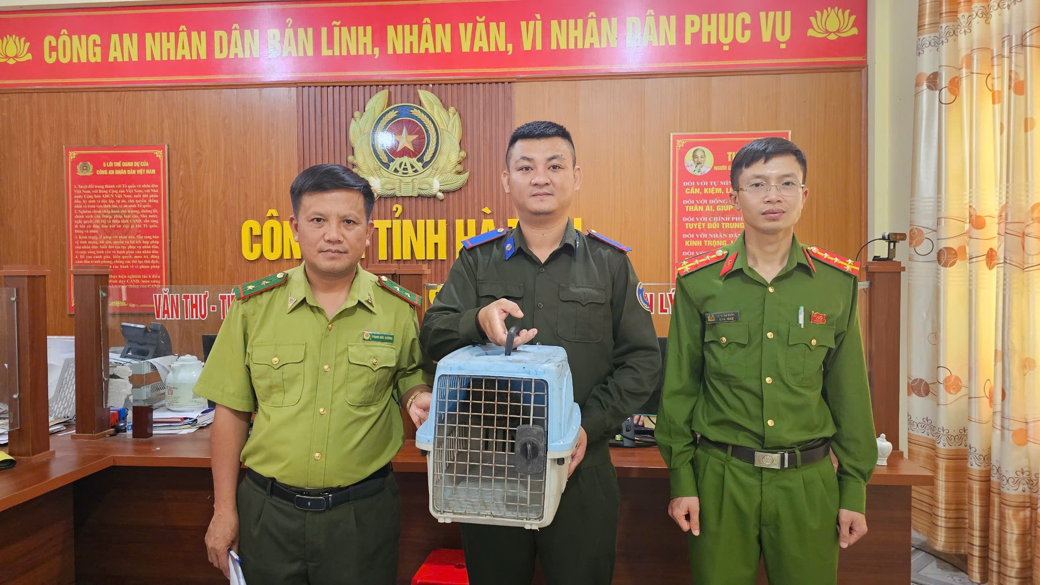 Hành động đẹp: Người dân Sơn Giang tự nguyện giao nộp động vật quý hiếm