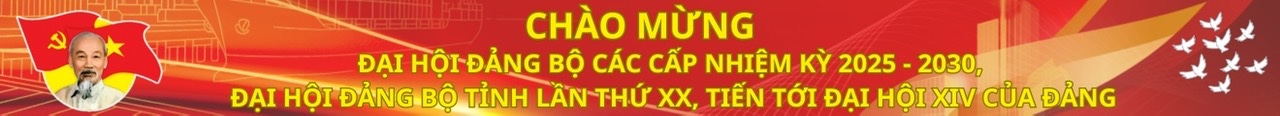 Banner 3