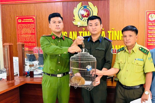 Người dân thôn Lâm Đồng bàn giao cá thể Culi quý hiếm 
