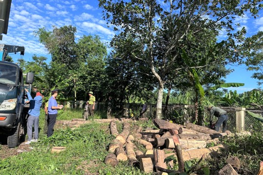 Viện KSND khu vực 5 kiểm sát việc tiêu hủy tài sản là tang vật vi phạm hành chính bị tịch thu tiêu hủy được xác lập quyền sở hữu toàn dân 