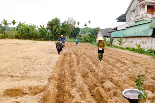 Phụ nữ Sơn Giang thử nghiệm trồng đậu tương rau, mở hướng phát triển kinh tế mới