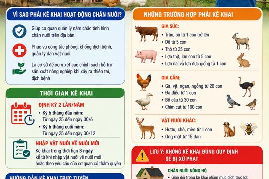 Sơn Giang: Tuyên truyền, hướng dẫn kê khai hoạt động chăn nuôi