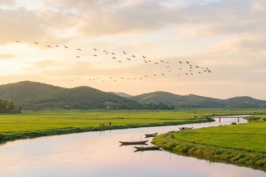 Chung tay bảo vệ chim hoang dã, chim di cư – Bảo vệ môi trường sống và đa dạng sinh học xã Sơn Giang  