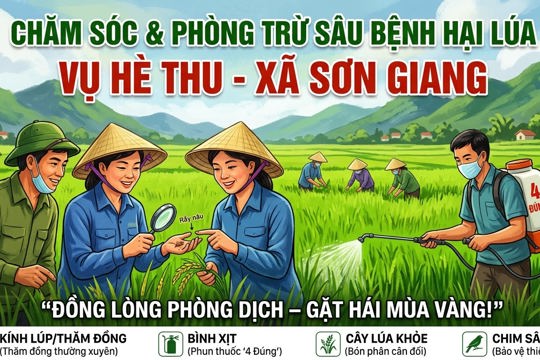 Chăm sóc và phòng trừ sâu bệnh hại  lúa vụ Hè thu 2026 