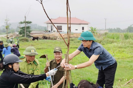 Sơn Giang phát động “Tết trồng cây đời đời nhớ ơn Bác Hồ” Xuân Bính Ngọ 2026