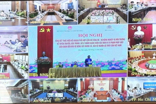 Sơn Giang tham dự hội nghị trực tuyến về bảo vệ động vật hoang dã và nguồn lợi thủy sản 