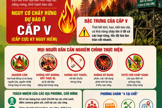 Chi cục Kiểm lâm Hà Tĩnh cảnh báo nguy cơ cháy rừng cấp cực kỳ nguy hiểm từ ngày 20 - 26/6/2026