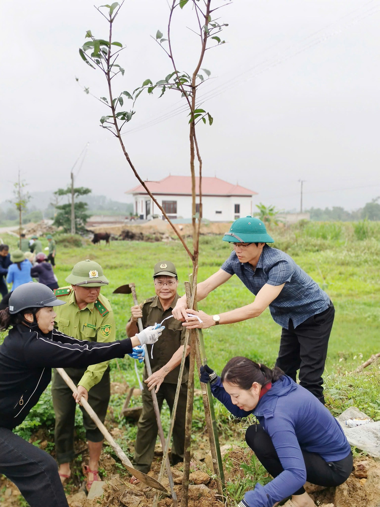 Sơn Giang phát động “Tết trồng cây đời đời nhớ ơn Bác Hồ” Xuân Bính Ngọ 2026 